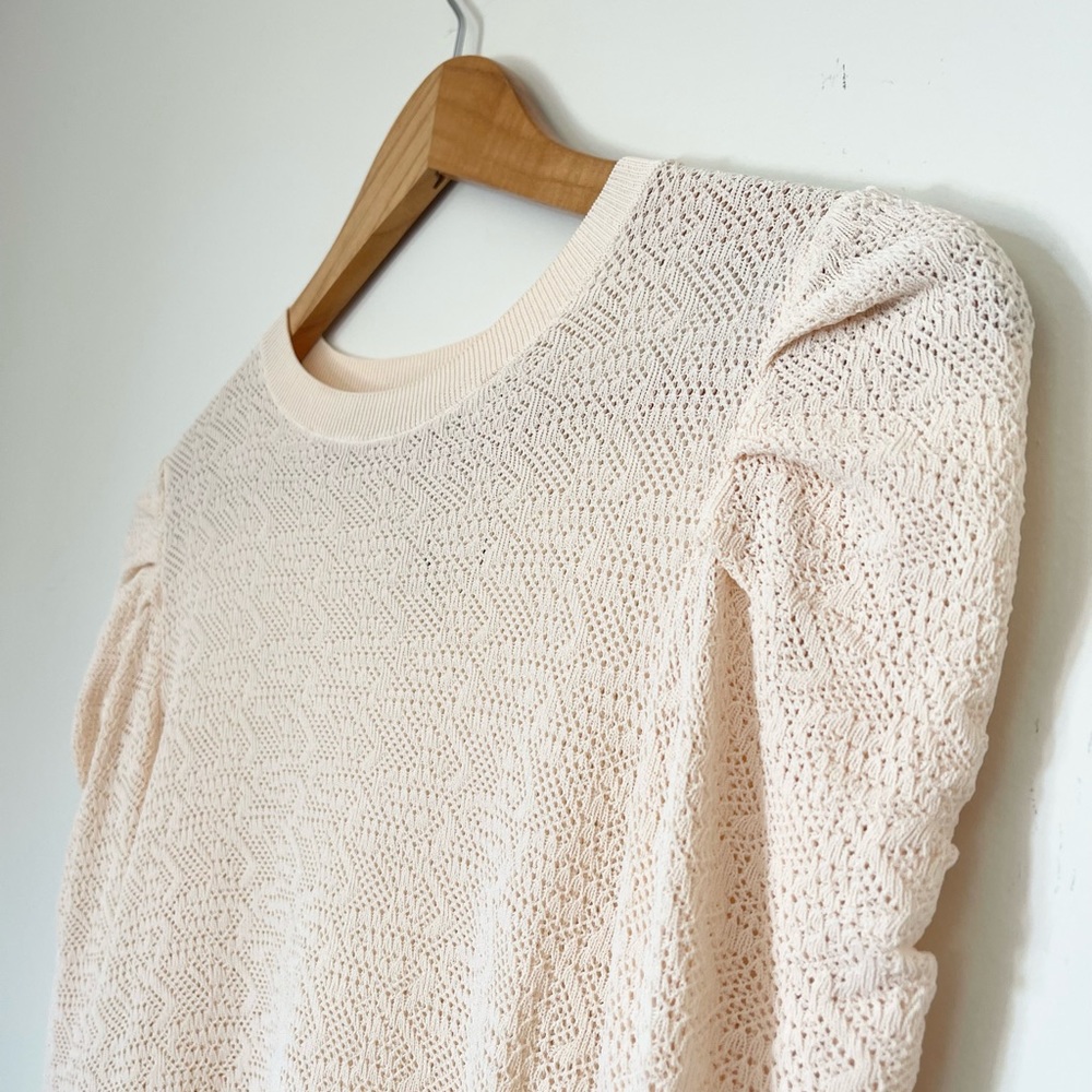 Zara Crochet Long-sleeve Top